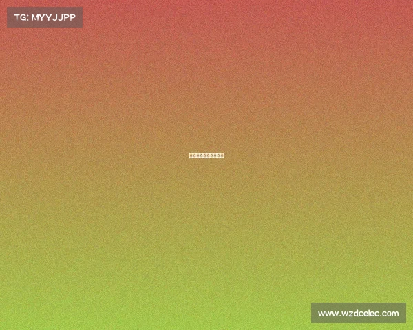 西北赛事网、西北联赛