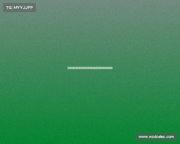 聚焦澳网王蔷比赛解析她的技术特点和赛事成绩及其对中国网坛影响